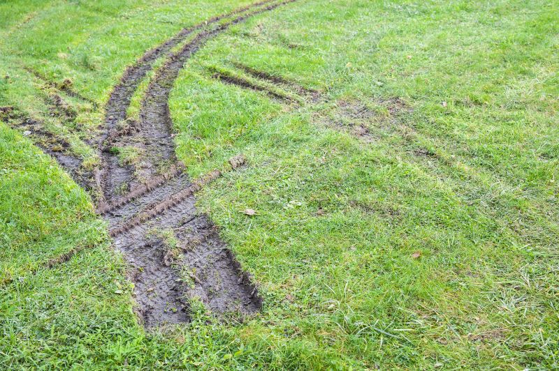 Bare Spot Repair in Honolulu, HI