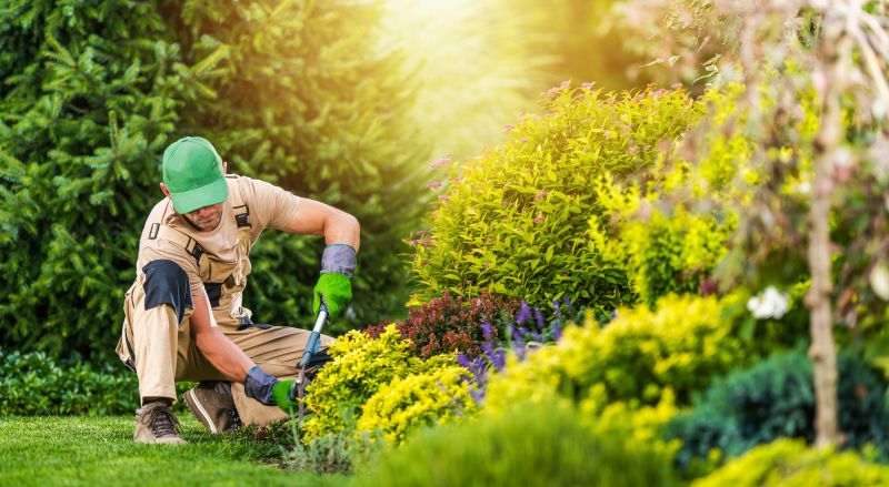 Garden Care Service in Ventura County, CA
