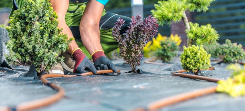 Mulch Installation in Honolulu, HI