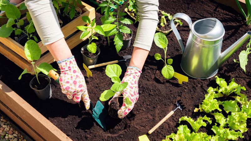 Planting Service in Ventura County, CA