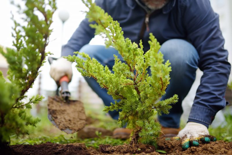 Small Garden Landscaping in Ventura County, CA