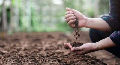 Save Time and Energy with Dirt Delivery!