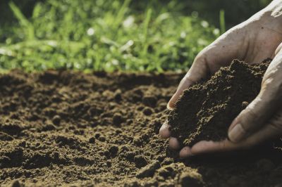 Use Dirt for a Variety of Landscaping Projects!